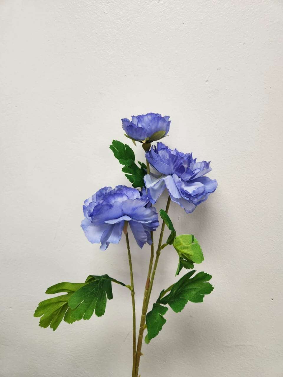 Peony Flower - Purple image