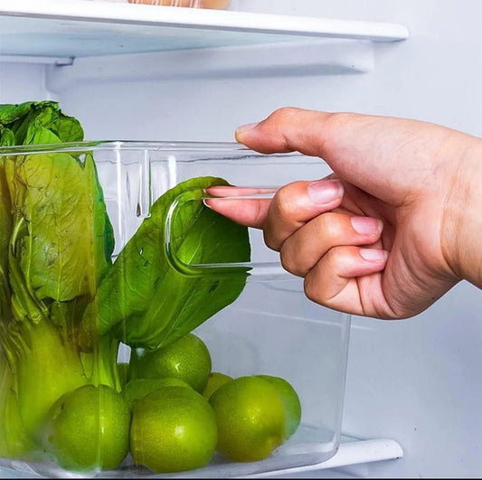 Clear Storage Bin With Handle
