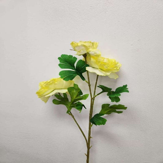 Peony Flower