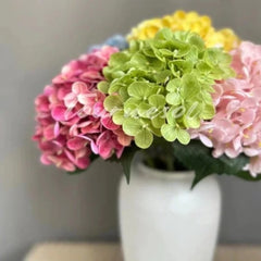 Hydrangea image 3