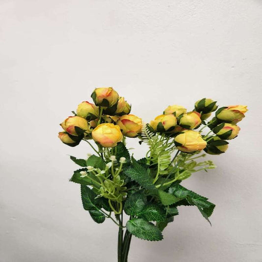 Yellow Garden Rose