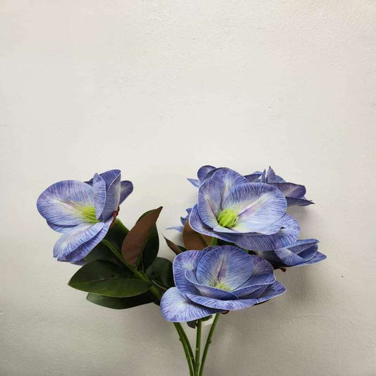 Dutch Tulips