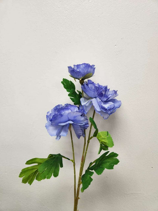 Peony Flower image 1