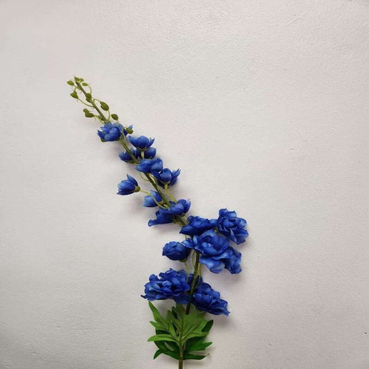 Delphinium Flowers
