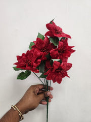 Velvet Poinsettia - Bunch image