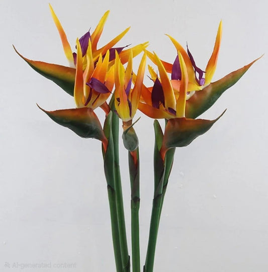 Birds of Paradise - Yellow Ombre image