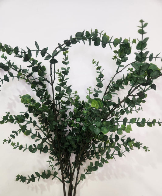 Eucalyptus Branch