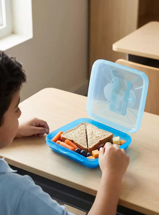 Sandwich Box