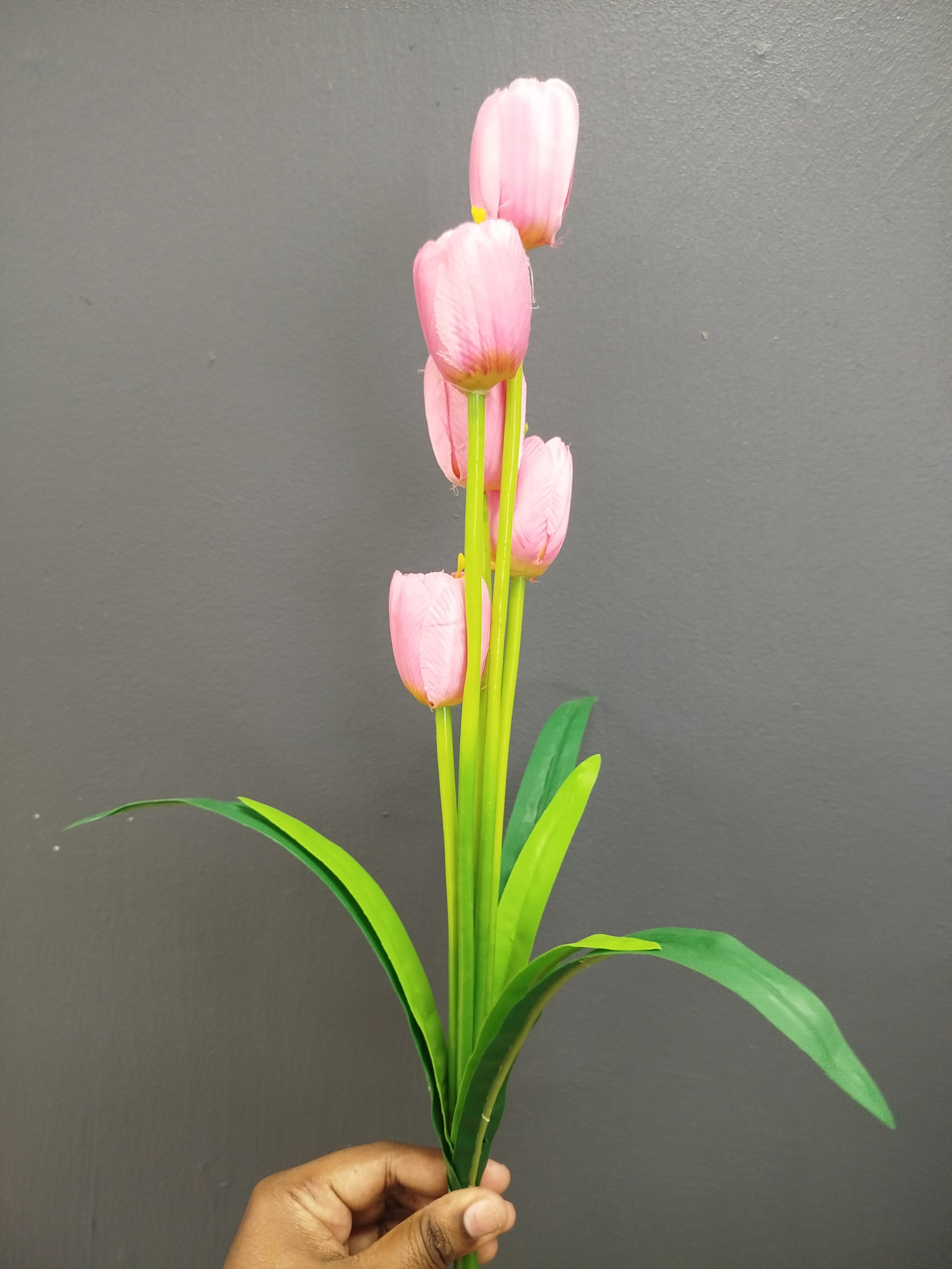 Tulips