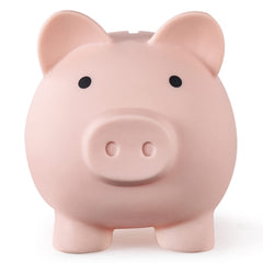 Ceramic Piggy Bank