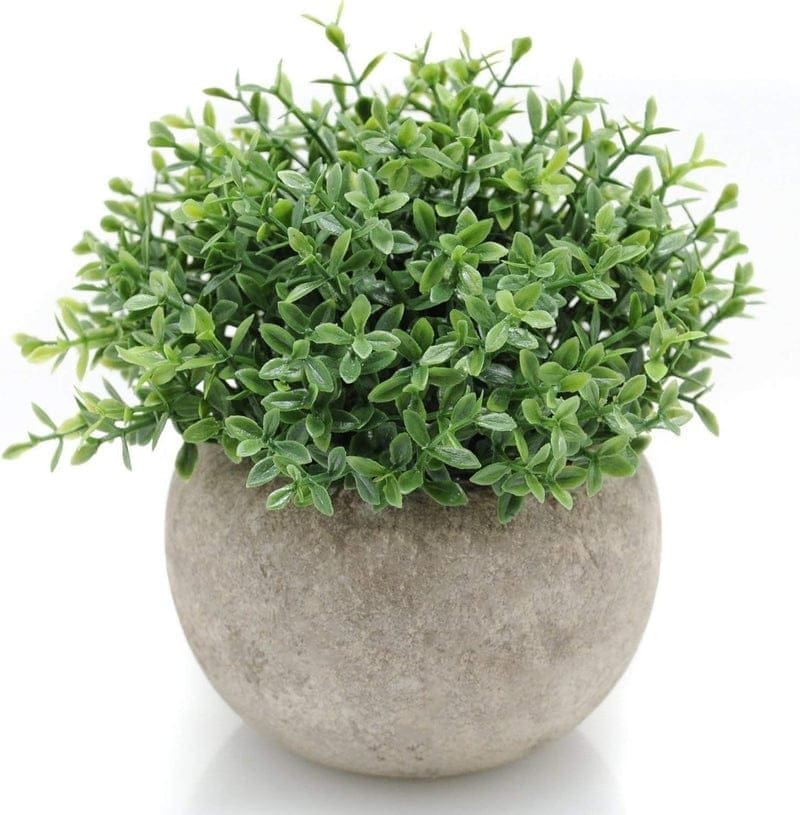 Artificial Tabletop Plants