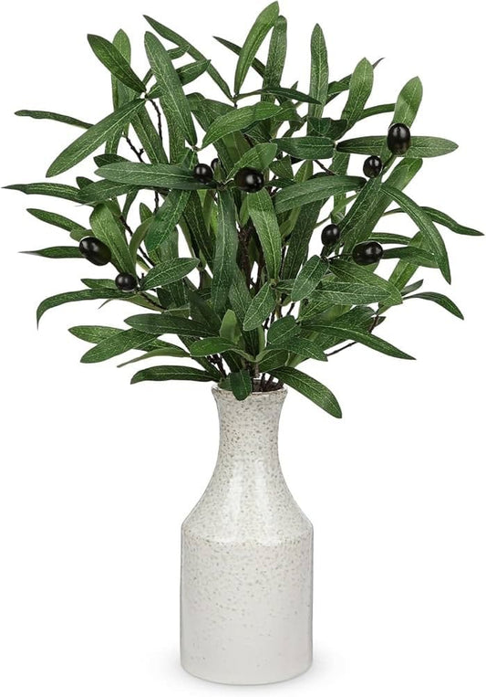 Olive Branch
