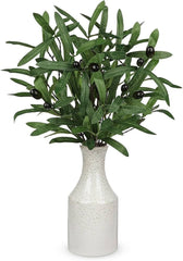 Olive Branch
