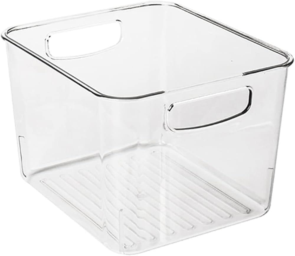 Clear Storage Bin With Handle
