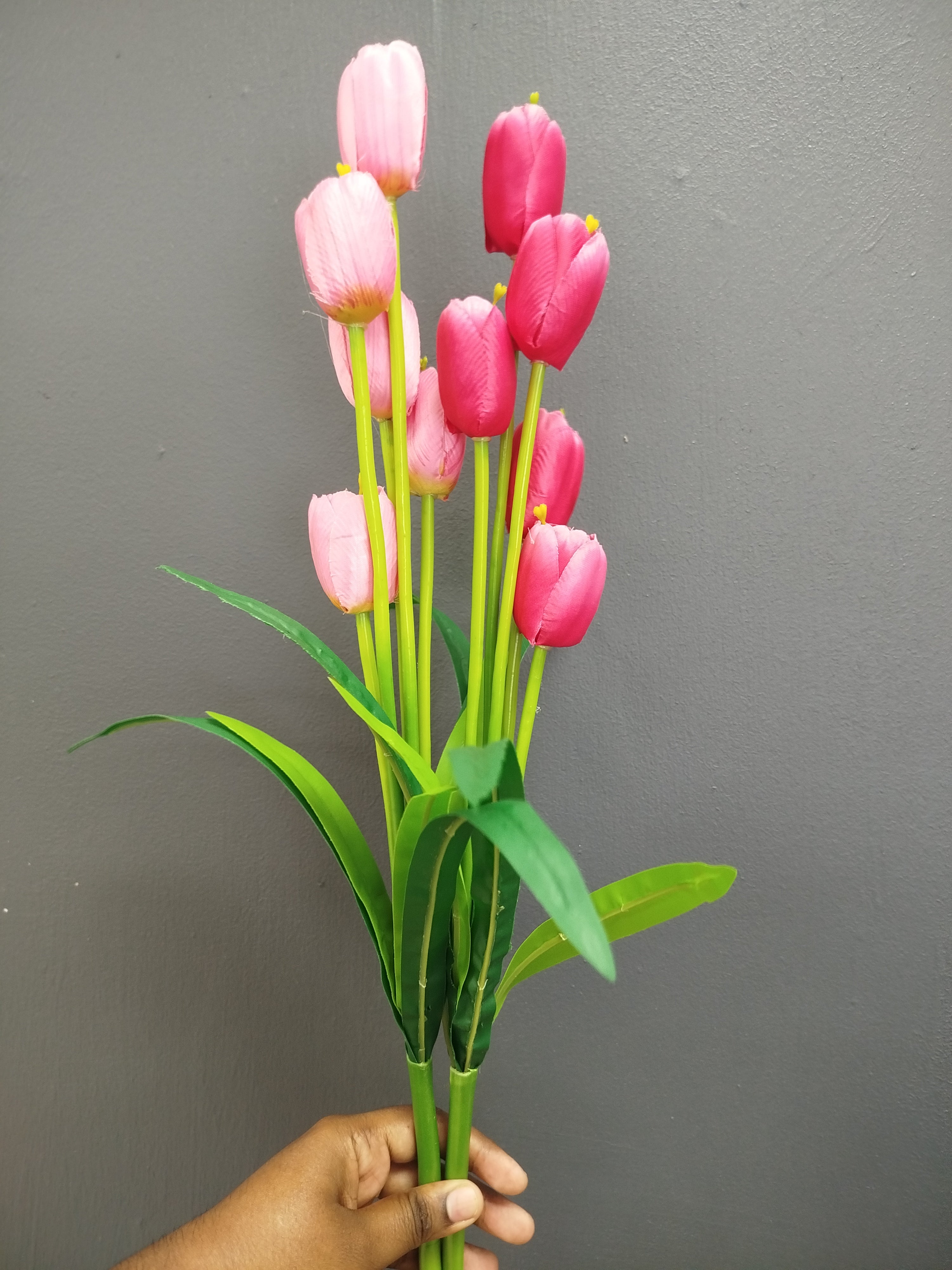 Tulips